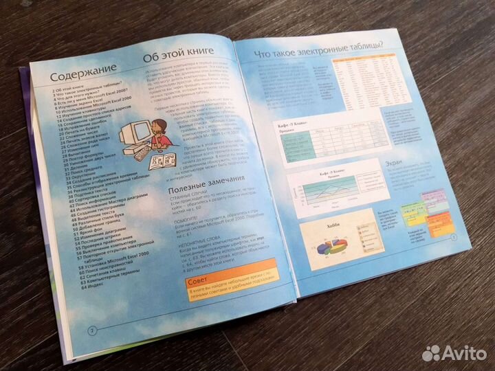 Книга + доп. материалы Microsoft Excel 2000