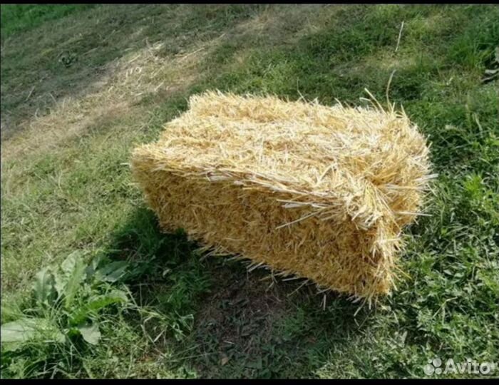 Солома в тюках