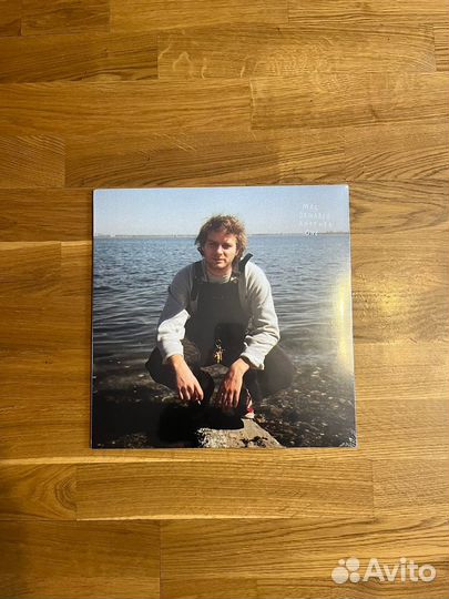 Винил Mac DeMarco – Another One LP