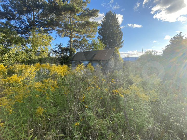 Участок 6,9 сот. (СНТ, ДНП)