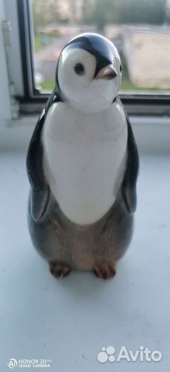 Мужик с медведем борьба кфз