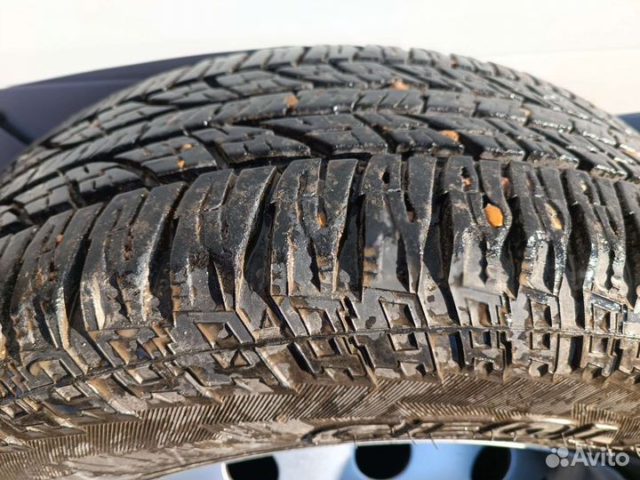 Yokohama GEOLANDAR G015 205/70 R15 98T