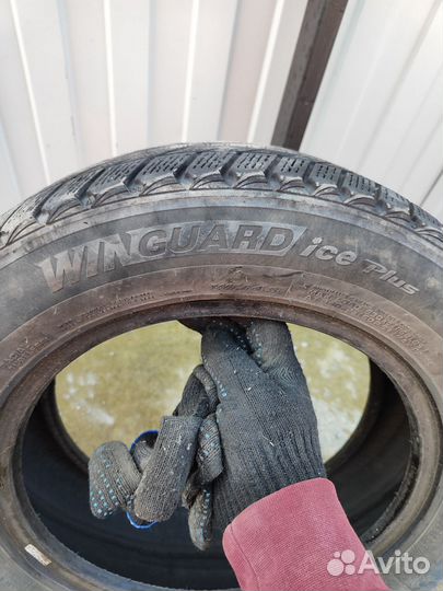 Nexen Winguard Ice Plus 175/65 R14 86T