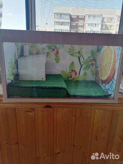 Террариум для рептилий