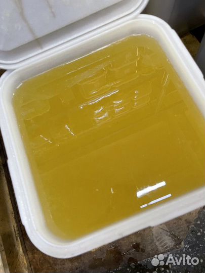 Свежий донниковый мёд оптом