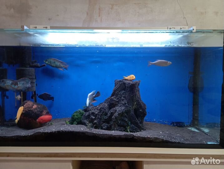 Аксессуары для аквариума