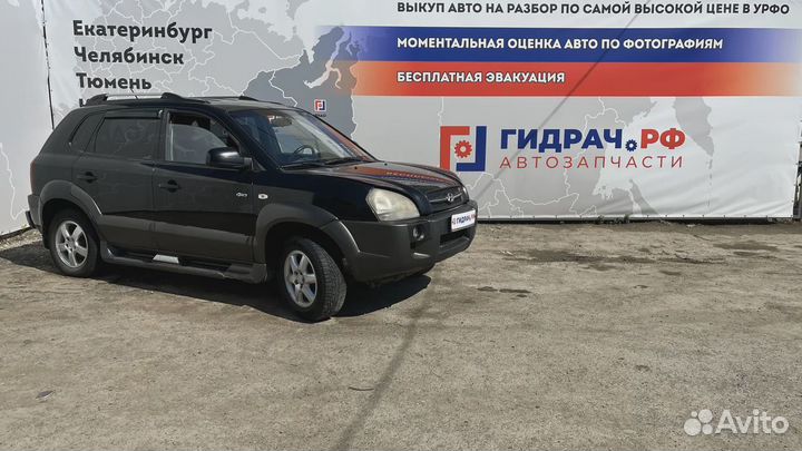 Бачок расширительный Hyundai Tucson (JM) 25431-2E0