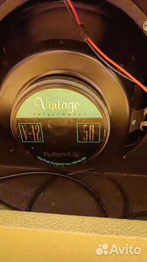 Roland Blues cub USA