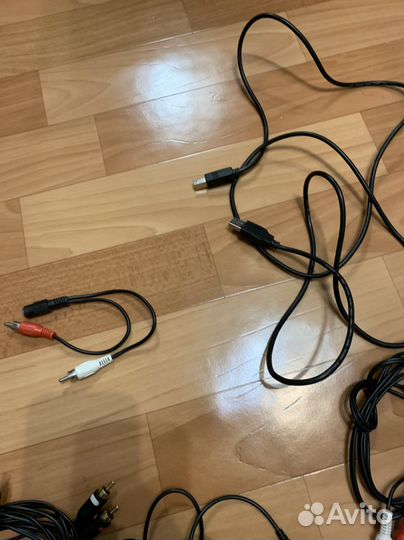 Тюльпаны провода