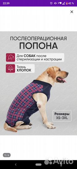 Попона для собак послеоперационная