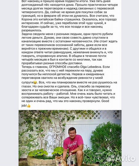 Международная авиа перевозка животных: Европа США