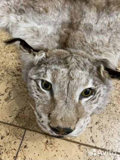 Рысь Имитация ковер