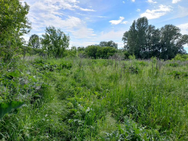 Участок 24 сот. (ИЖС)