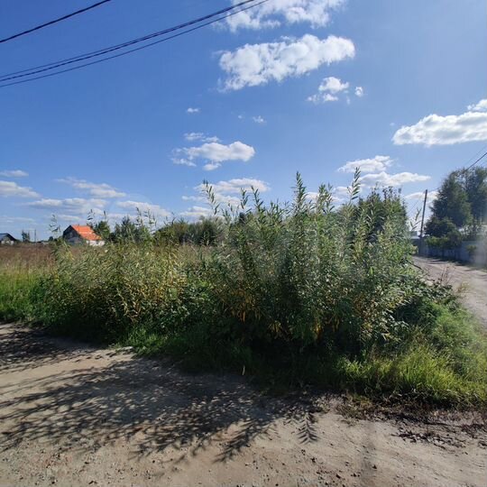 Участок 8 сот. (СНТ, ДНП)