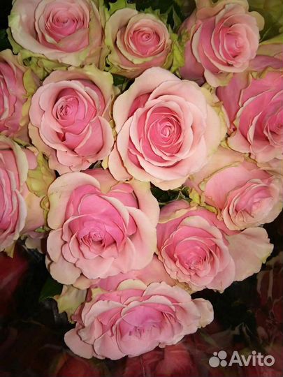 Цветы розы букет