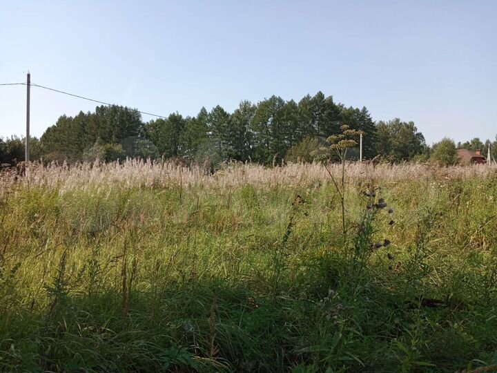 Участок 25 сот. (ИЖС)