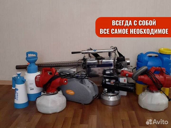 Уничтожение клопов тараканов / Дезинфекция