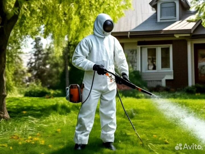 Уничтожение клещей, обработка комаров муравьев ос