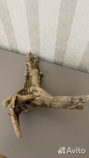 Коряга дрифтвуд 35х28