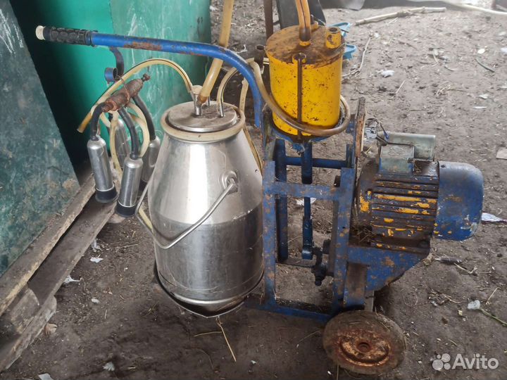 Доильный аппарат для коров бу