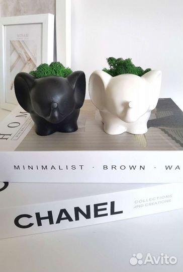 Кашпо слоник со стабилизированным мхом