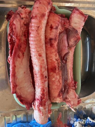 Трахея говяжья(мясо для собак)