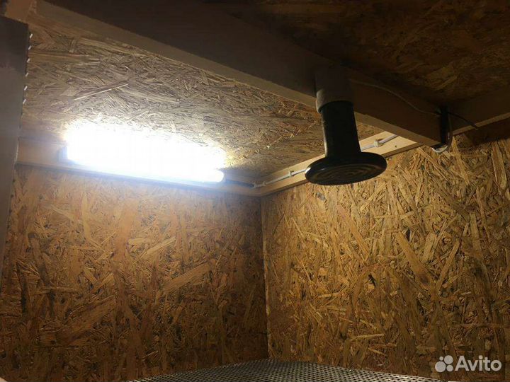 Брудер для цыплят