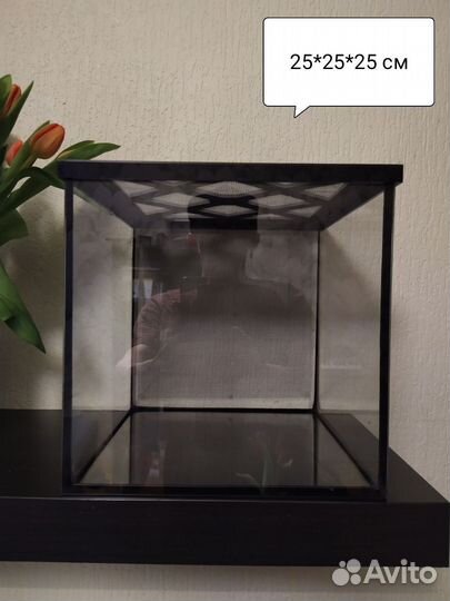 Террариум, инсектарий для пауков, богомолов