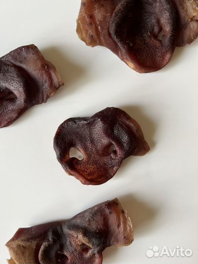 Свиные пятаки