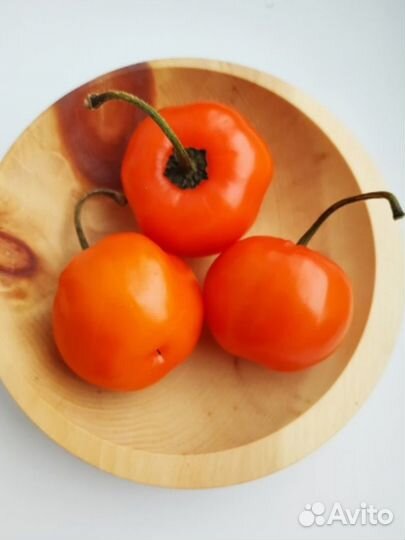 Семена перца 