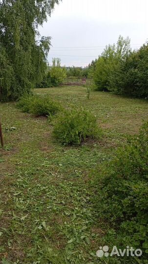 Покос травы тримером