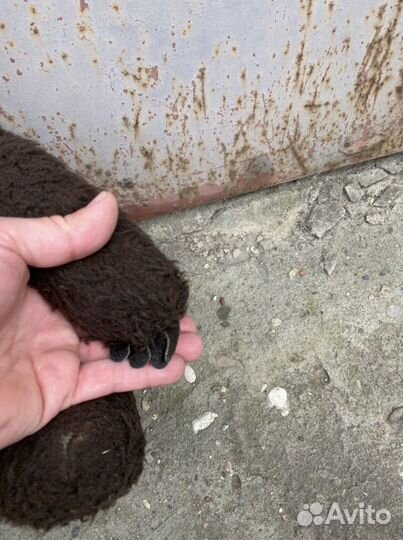 Мишка Олимпиада-80