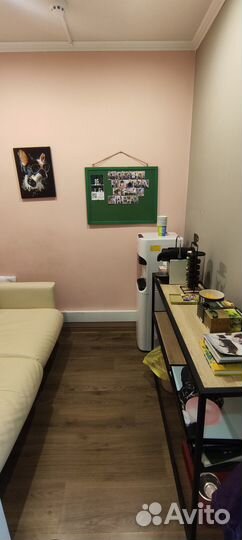 Сдается рабочее место грумера в зоосалоне