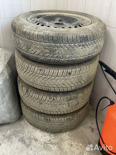 Royal Black Royal Winter HP 205/60 R16 30E