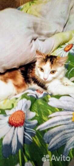 Малышка Полинка- Поля - Пошечка- Полюся 3,5мес