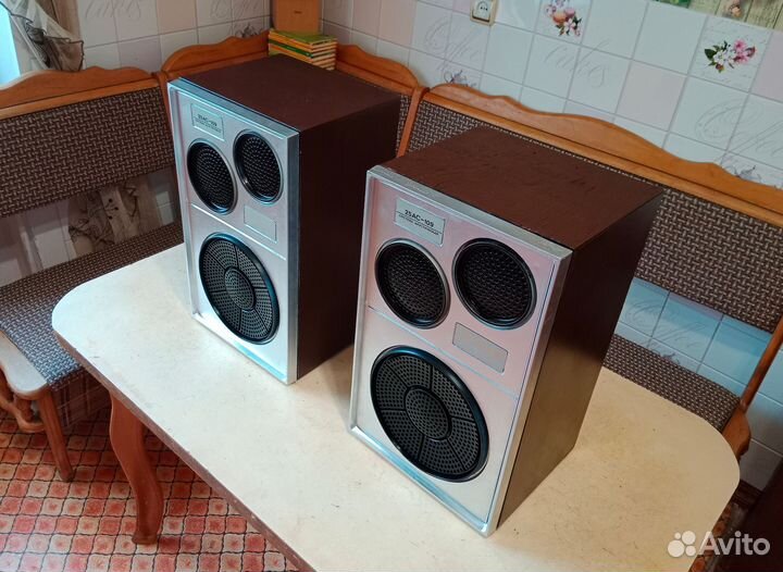 Колонки Вега 25ас-109