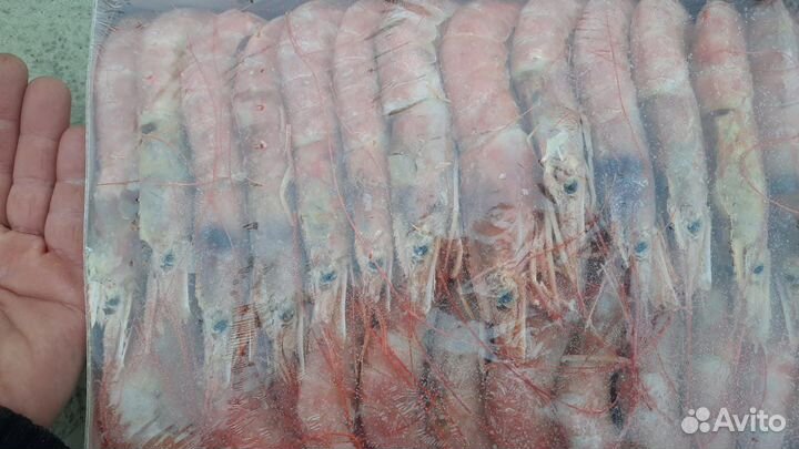 Лангустины L2