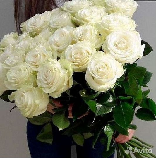 Высокие розы Доставка цветов