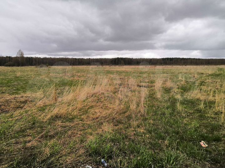 Участок 6 га (СНТ, ДНП)