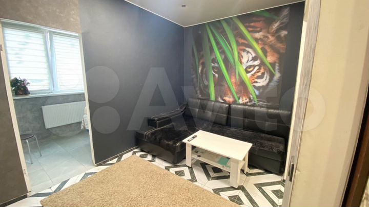 1-к. квартира, 30 м², 1/4 эт.