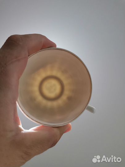 Чайная Пара 50тые Незабудки Фарфор костяной