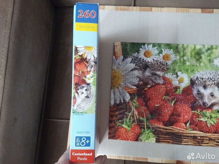 Пазлы 260
