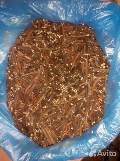 Сабельник корень