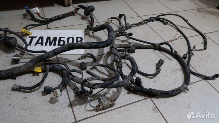 Проводка подкапотная шевроле авео 2007 год т200