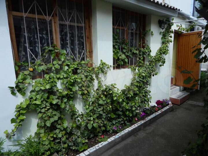 Дом 50 м² на участке 1 сот.