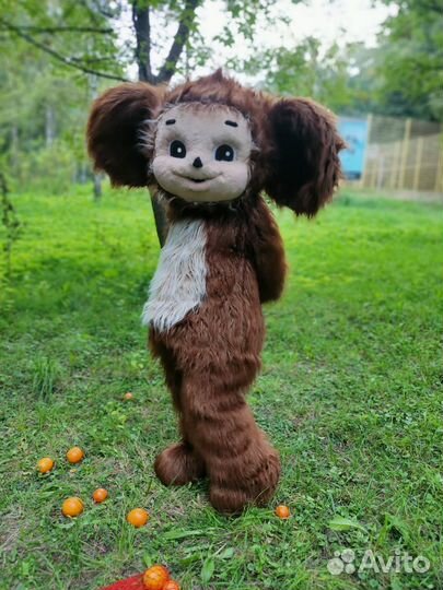 Ростовые куклы Экспресс поздравление