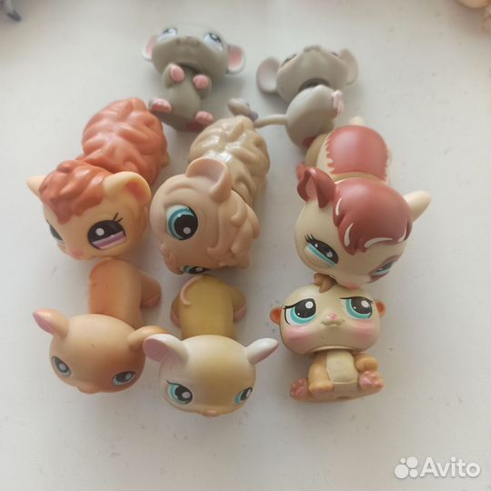 Littlest Pet Shop
