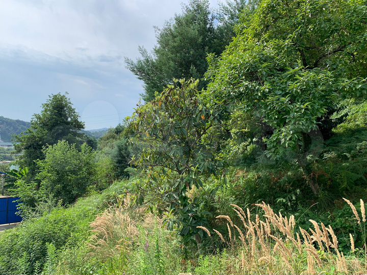 Участок 4 сот. (ИЖС)