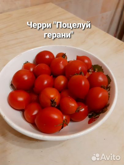 Семена помидор из своей коллекции