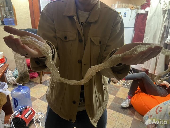 Змеиная кожа